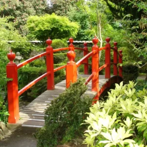 Day Tour to The Japanese Gardens, National Stud & Kildare Village