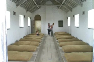 the-irish-workhouse-centre