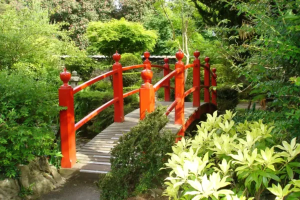 Day Tour to The Japanese Gardens, National Stud & Kildare Village
